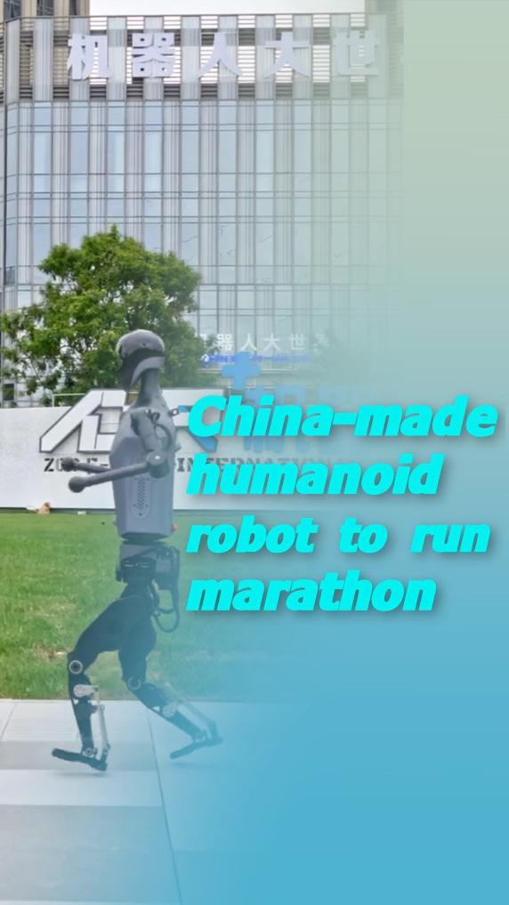 球迷们的视