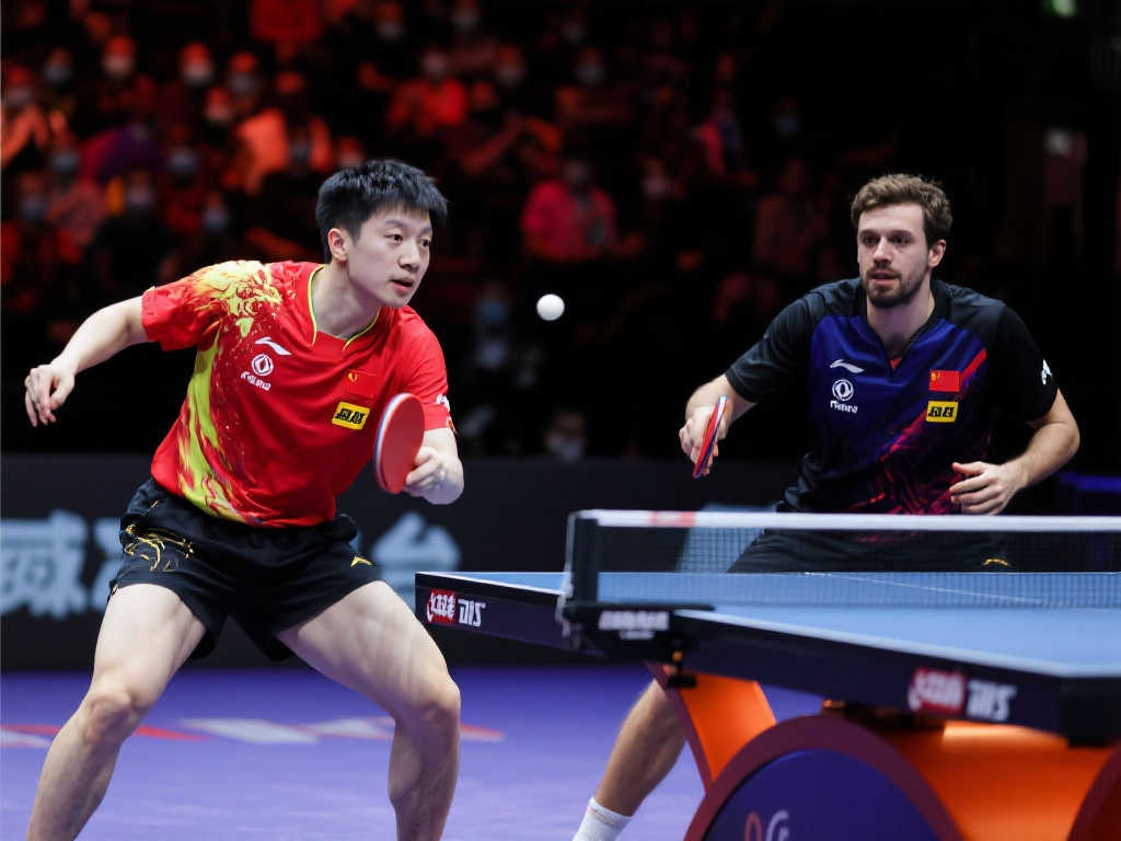 主美国的加 主美国的加